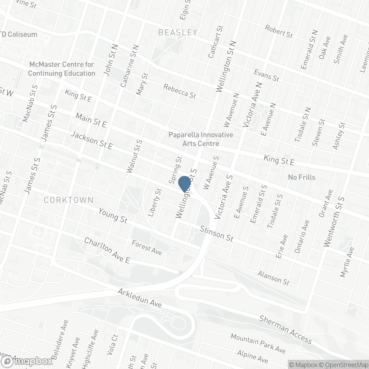 70 WELLINGTON STREET S, Hamilton, Ontario L8N 2R1